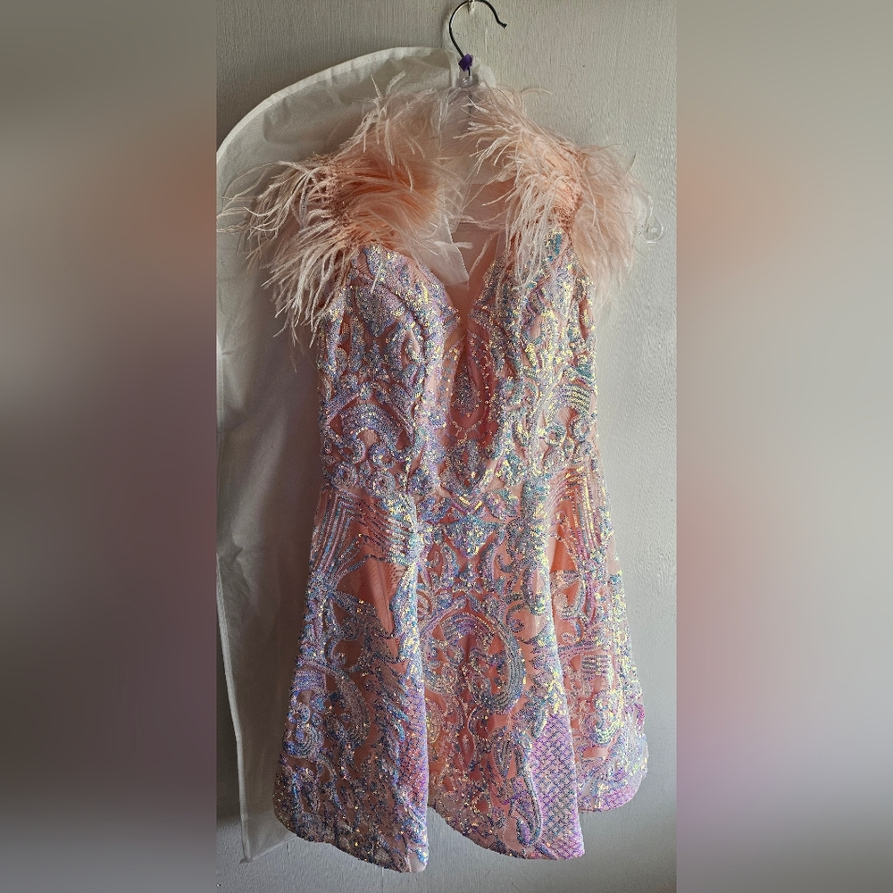 Shimmering Pink Feathered Dress